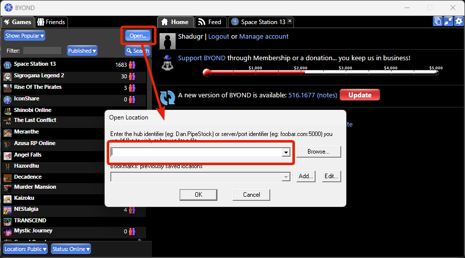 Окно подключения к серверу